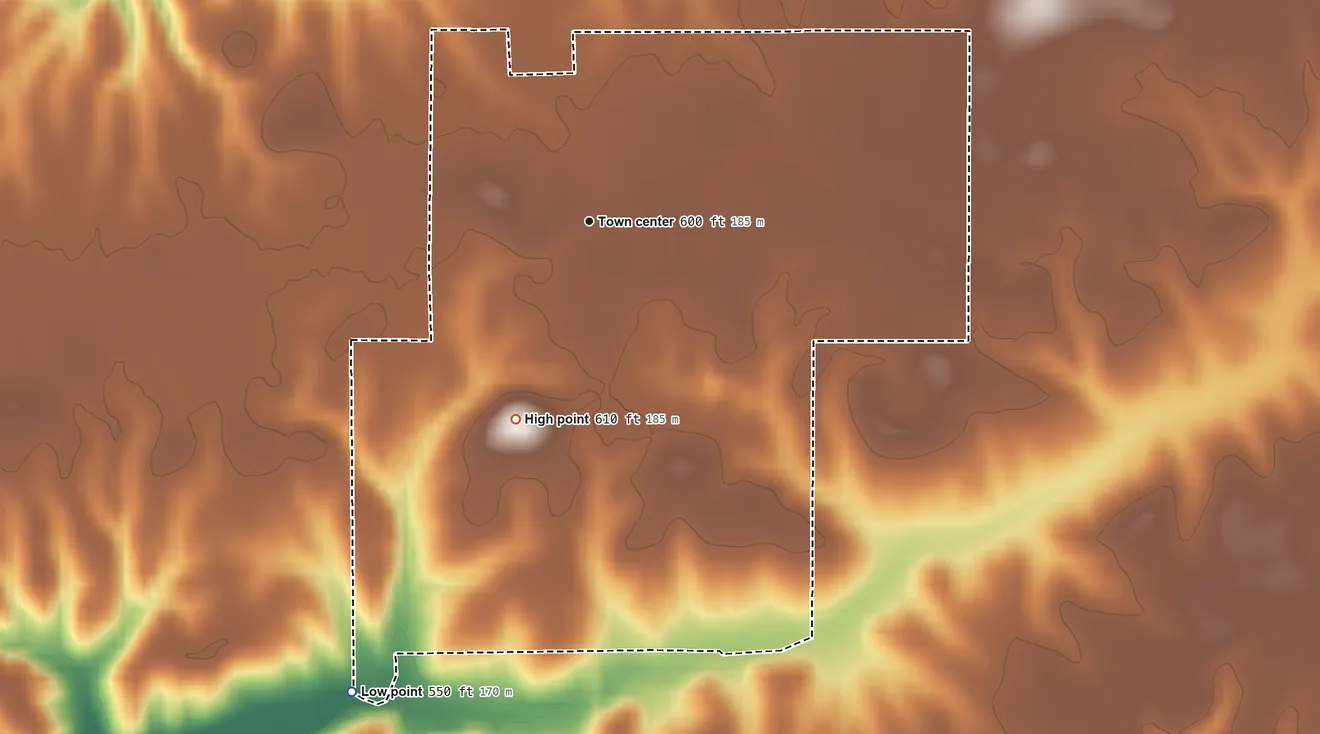 Topographic elevation map of Literberry, Illinois, shaded from 550 ft on the southwest side to 610 ft on the south side