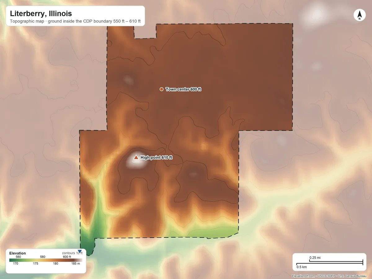 Topographic elevation map of Literberry, Illinois, shaded from 550 ft on the southwest side to 610 ft on the south side