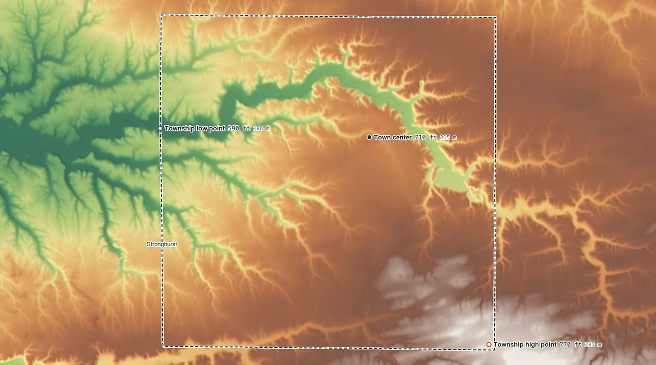 Topographic elevation map of Media Township, Illinois, shaded from 590 ft on the west side to 770 ft on the southeast side