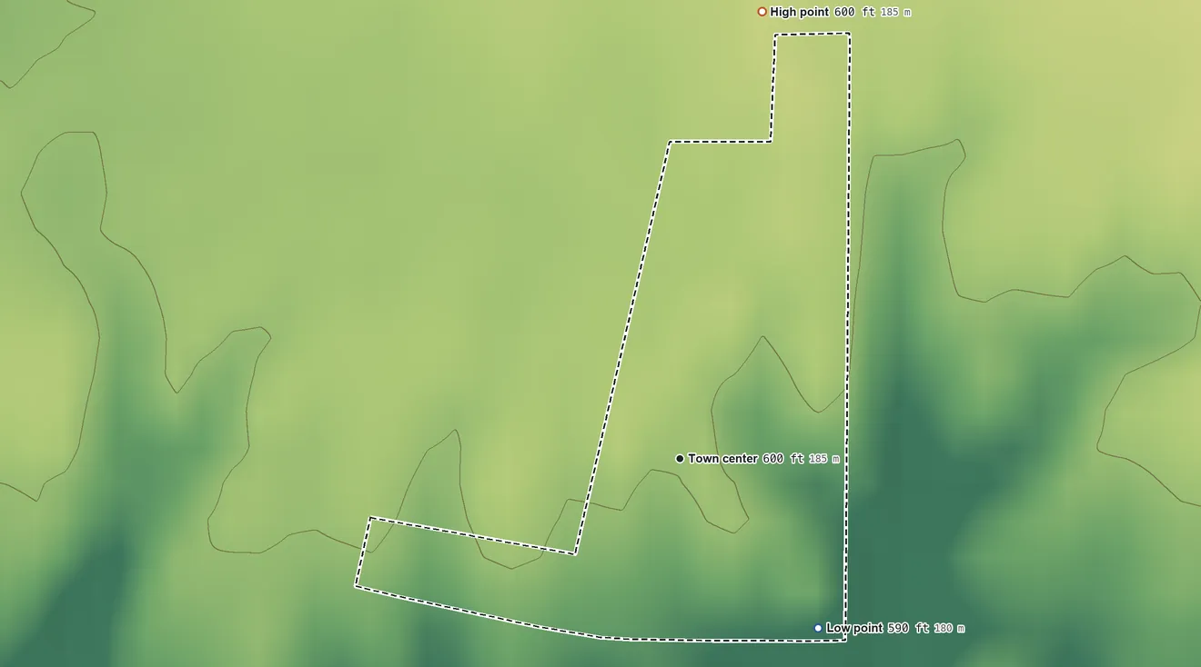 Topographic elevation map of Merritt, Illinois, shaded from 590 ft on the southeast side to 600 ft on the north side