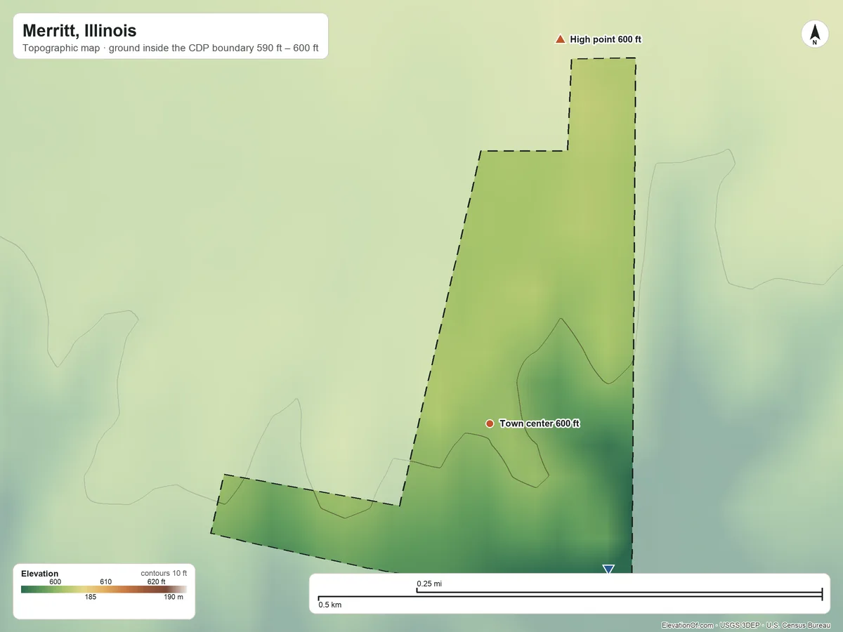 Topographic elevation map of Merritt, Illinois, shaded from 590 ft on the southeast side to 600 ft on the north side