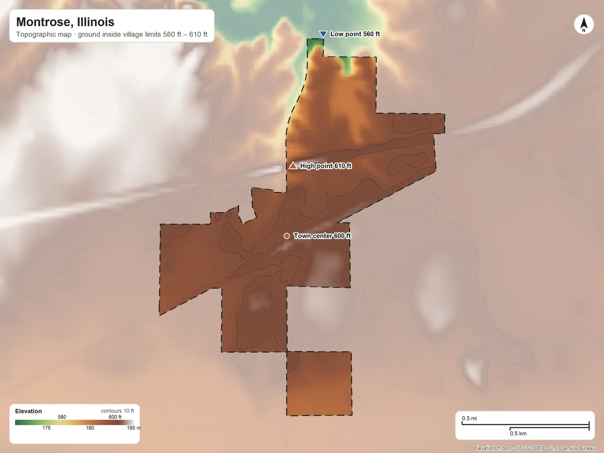 Topographic elevation map of Montrose, Illinois, shaded from 560 ft on the north side to 610 ft on the north side