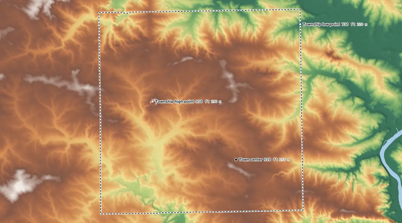 Topographic elevation map of Mount Morris Township, Illinois, shaded from 730 ft on the northeast side to 950 ft on the northwest side
