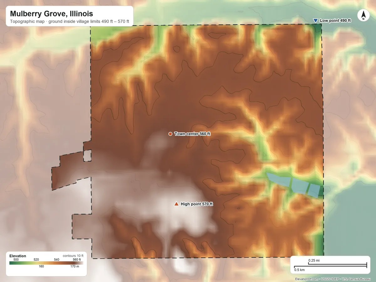 Topographic elevation map of Mulberry Grove, Illinois, shaded from 490 ft on the northeast side to 570 ft on the south side