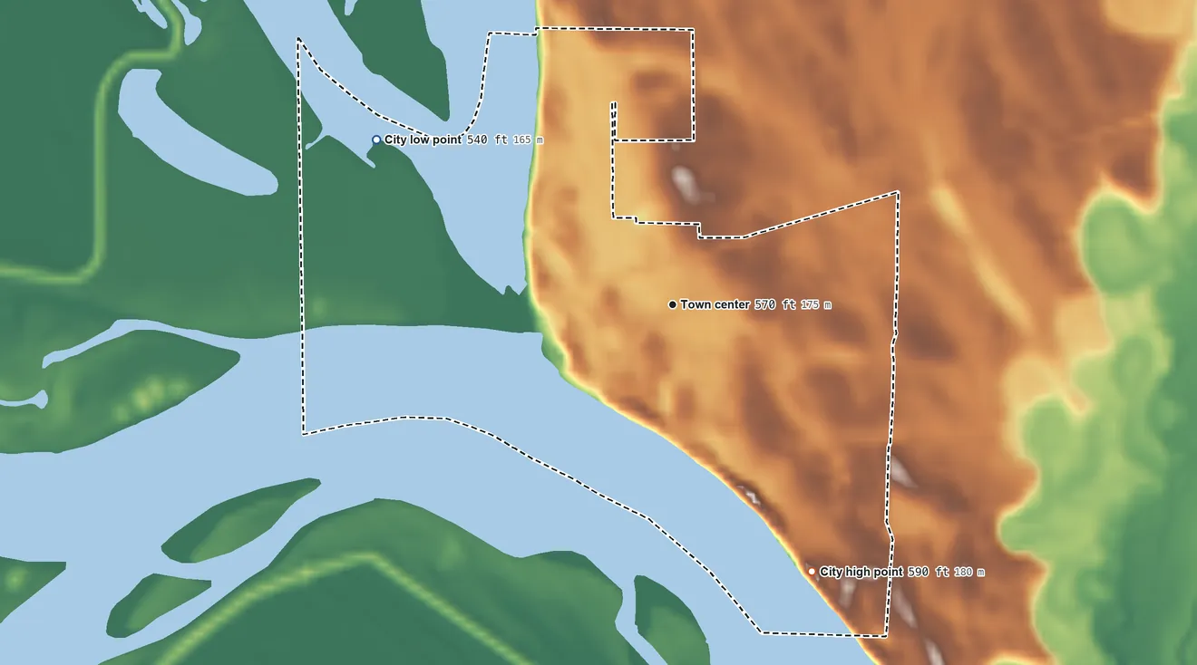Topographic elevation map of New Boston, Illinois, shaded from 540 ft on the northwest side to 590 ft on the southeast side