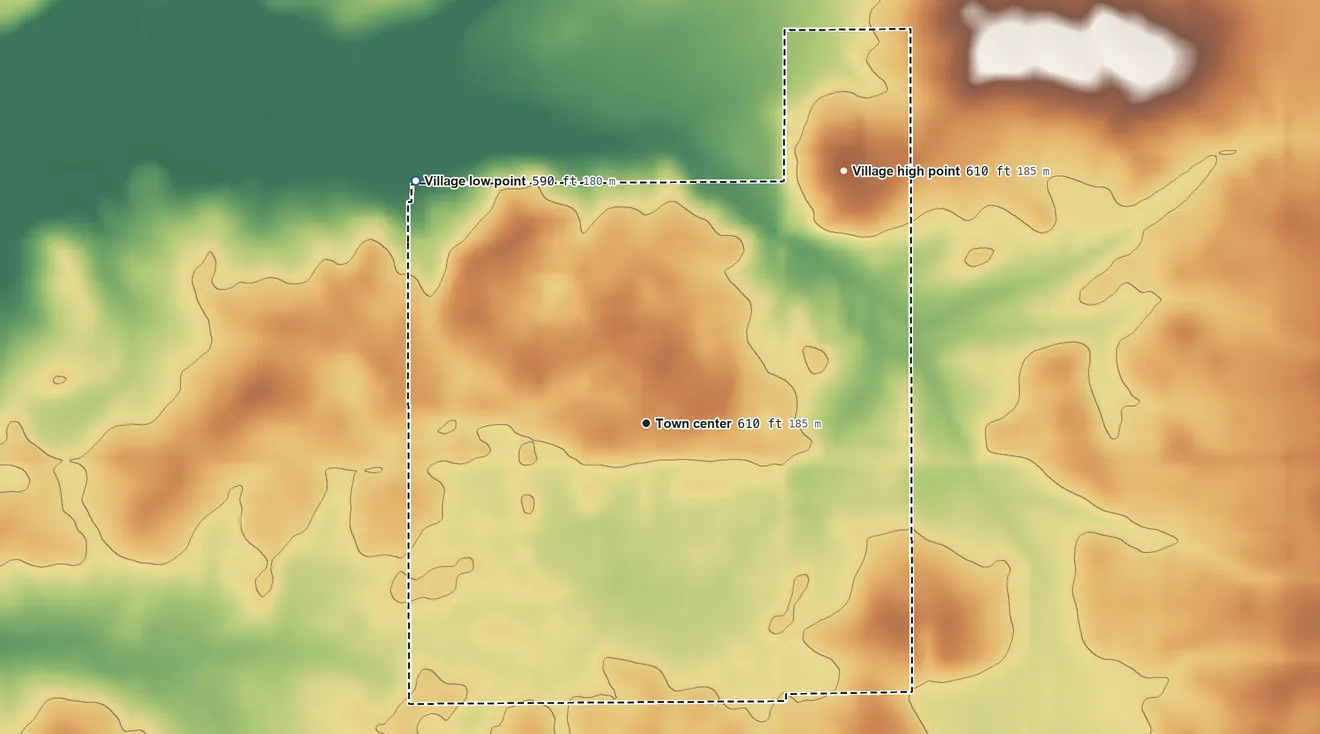 Topographic elevation map of Niantic, Illinois, shaded from 590 ft on the northwest side to 610 ft on the northeast side