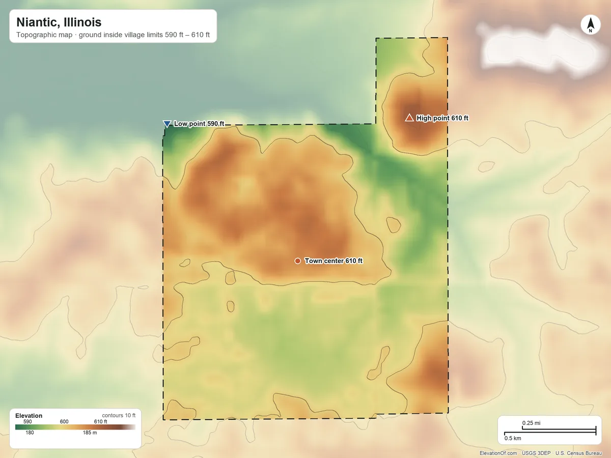 Topographic elevation map of Niantic, Illinois, shaded from 590 ft on the northwest side to 610 ft on the northeast side