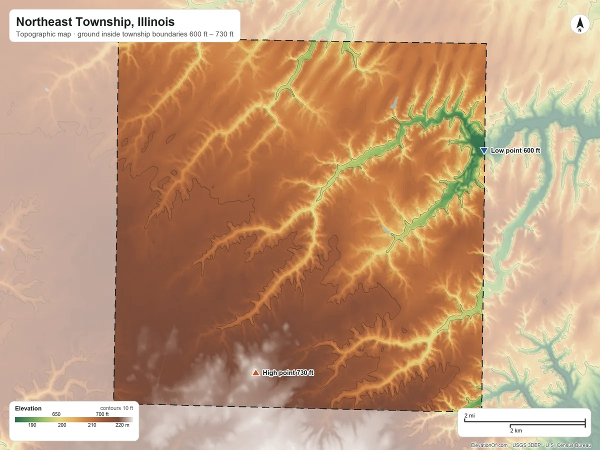 Topographic elevation map of Northeast Township, Illinois, shaded from 600 ft on the northeast side to 730 ft on the east side