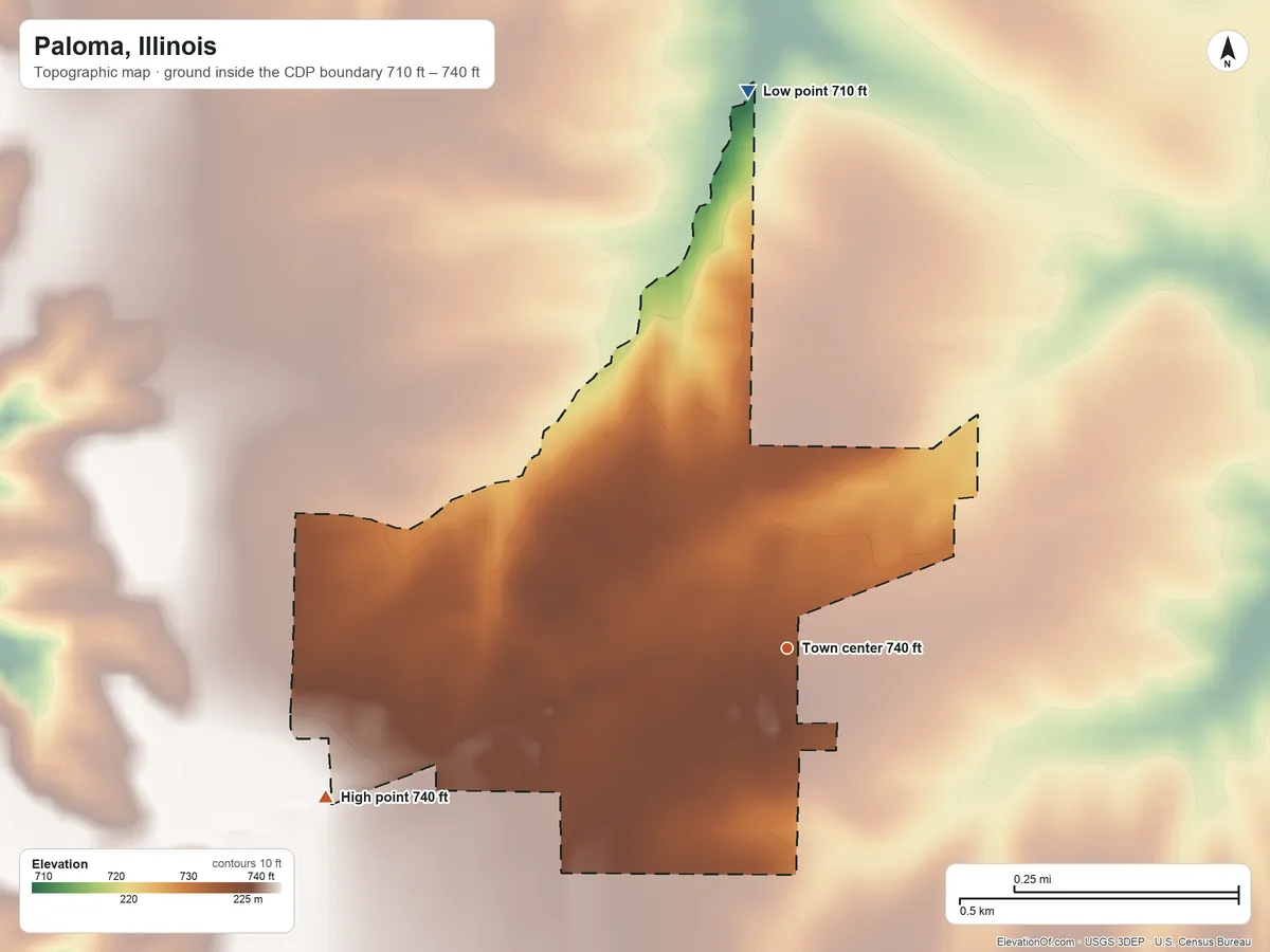 Topographic elevation map of Paloma, Illinois, shaded from 710 ft on the north side to 740 ft on the west side