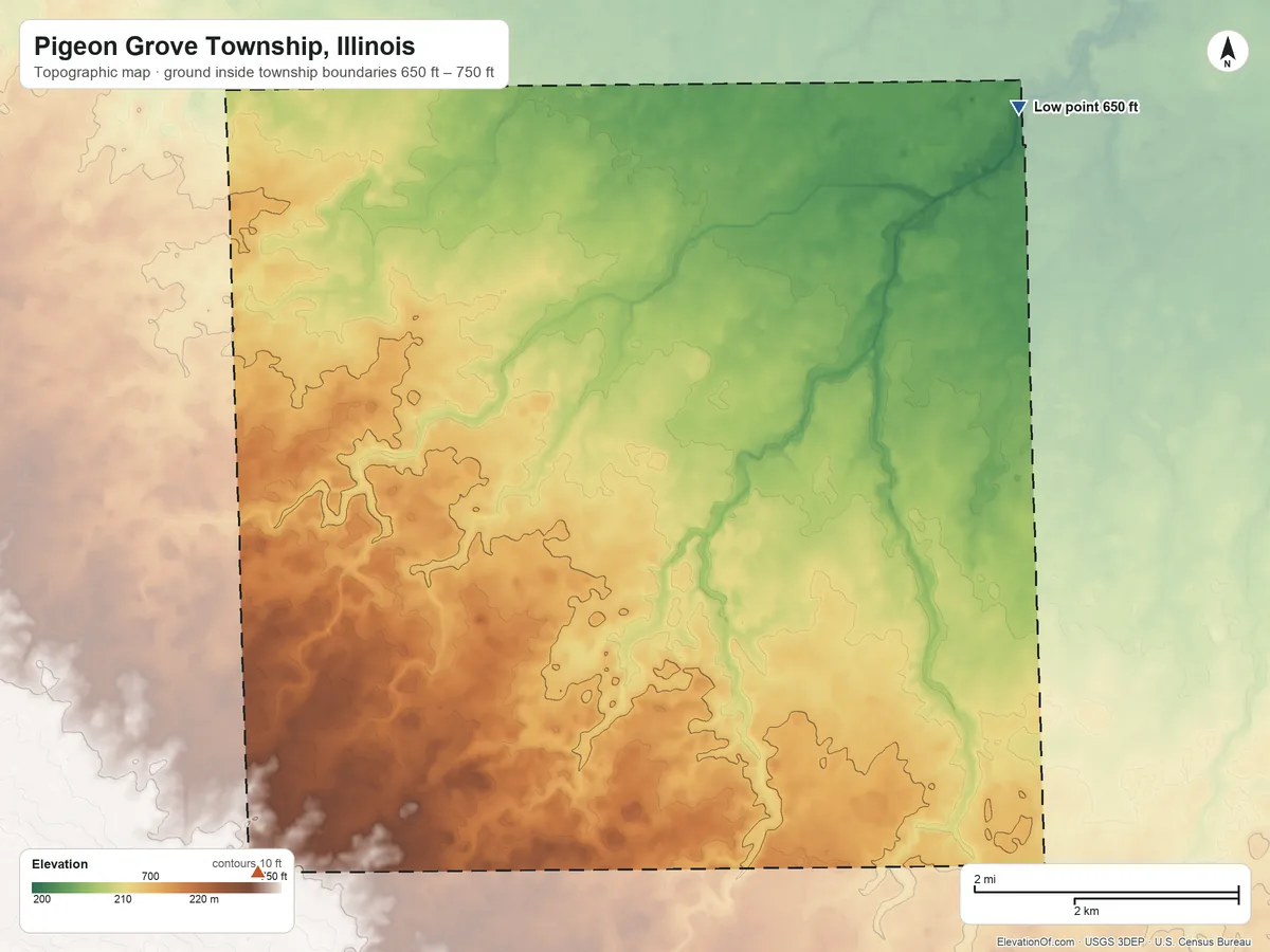 Topographic elevation map of Pigeon Grove Township, Illinois, shaded from 650 ft on the northeast side to 750 ft on the southwest side