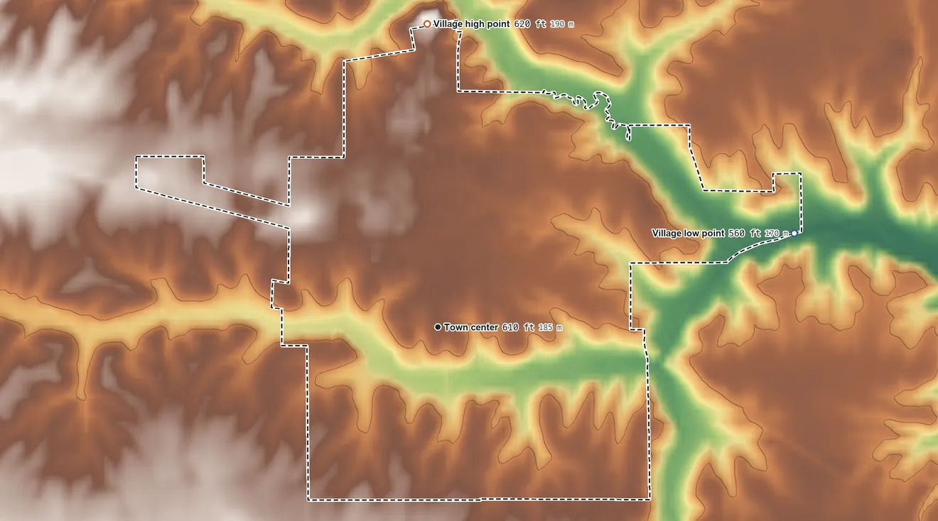 Topographic elevation map of Pleasant Plains, Illinois, shaded from 560 ft on the east side to 620 ft on the north side