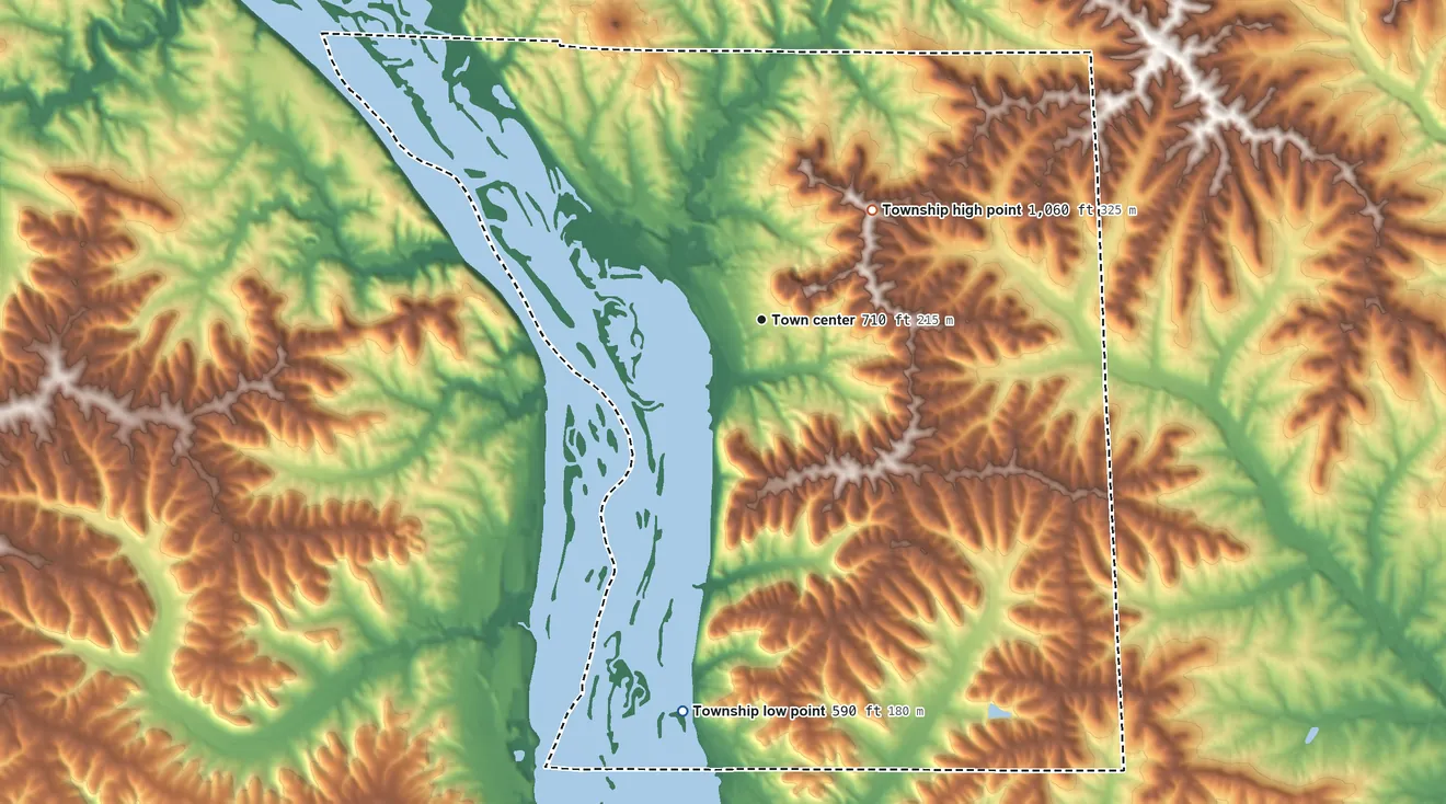 Topographic elevation map of Rice Township, Illinois, shaded from 590 ft on the south side to 1,060 ft on the northeast side