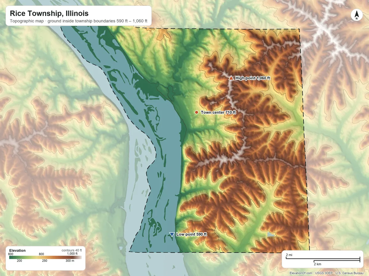 Topographic elevation map of Rice Township, Illinois, shaded from 590 ft on the south side to 1,060 ft on the northeast side