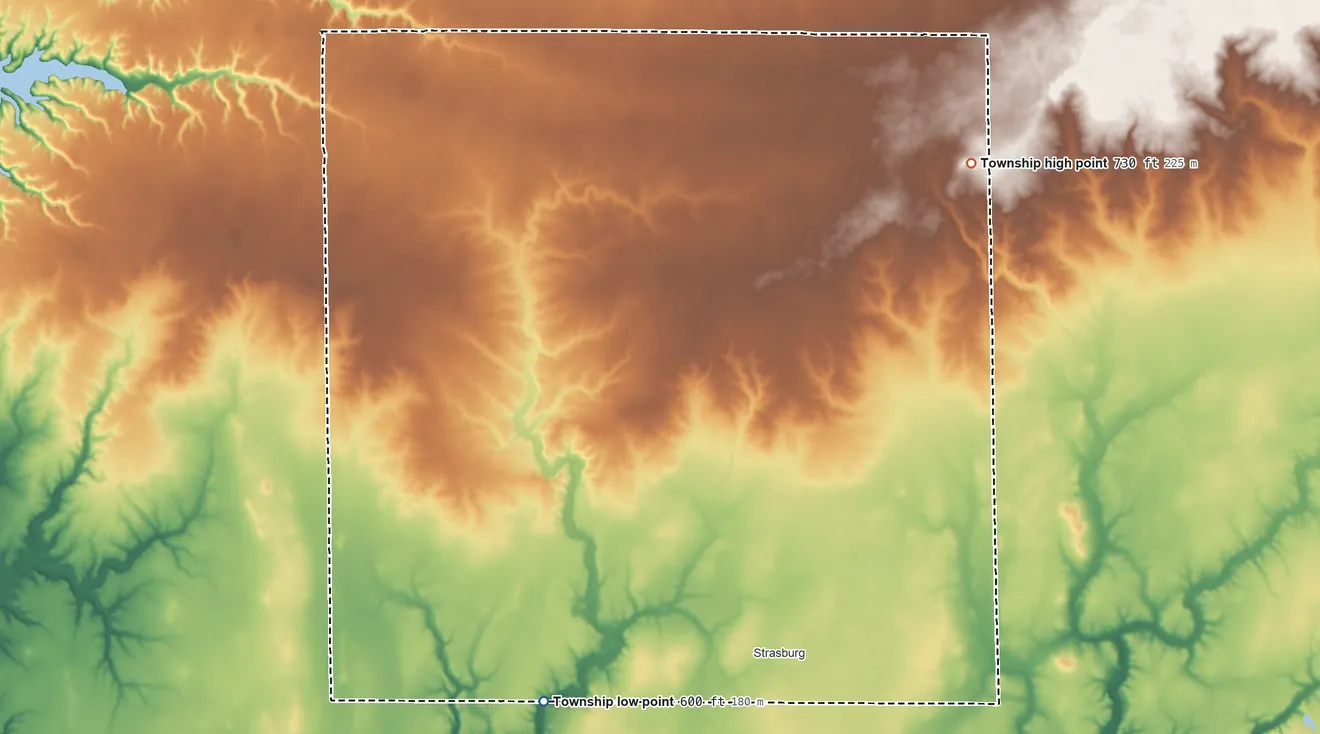 Topographic elevation map of Richland Township, Illinois, shaded from 600 ft on the southwest side to 730 ft on the northeast side