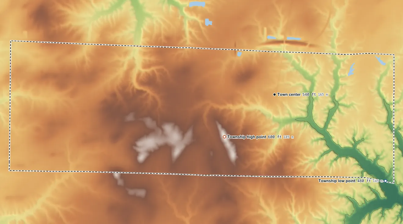 Topographic elevation map of Richview Township, Illinois, shaded from 480 ft on the southeast side to 600 ft on the southwest side