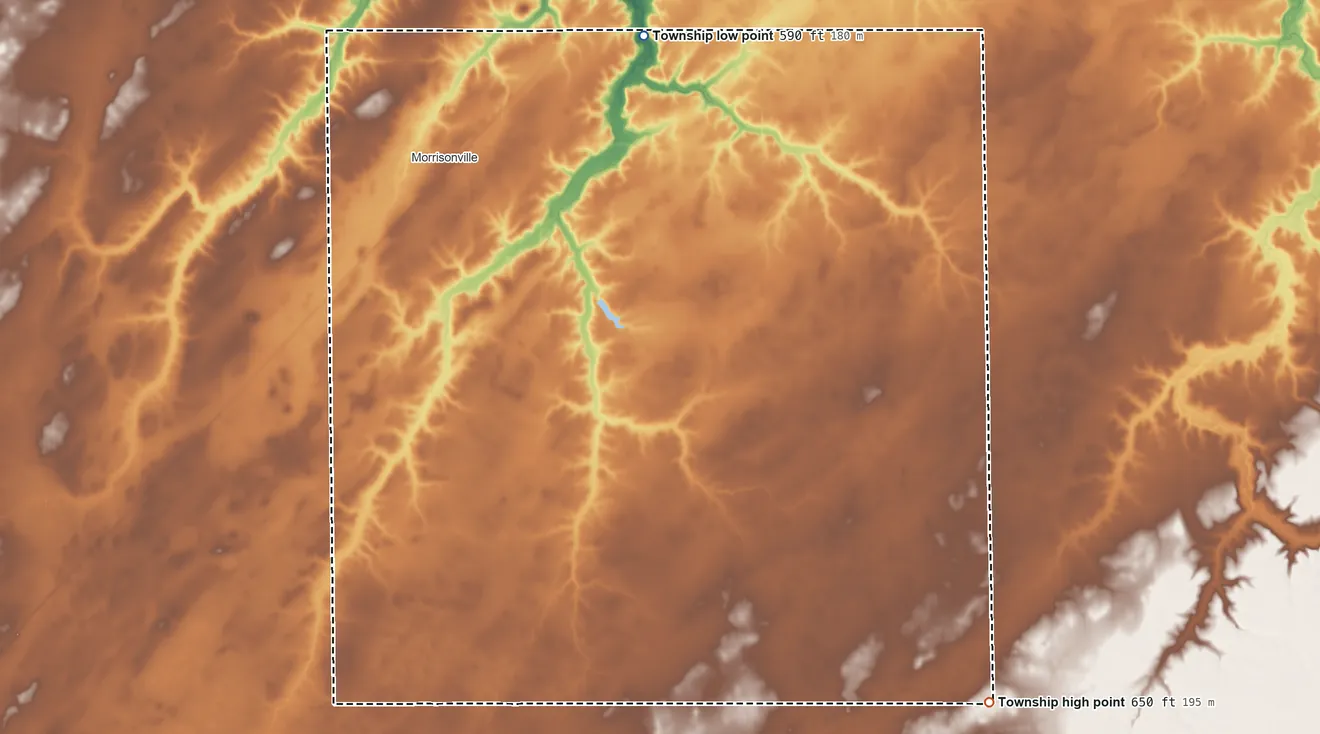 Topographic elevation map of Ricks Township, Illinois, shaded from 590 ft on the northeast side to 650 ft on the southeast side