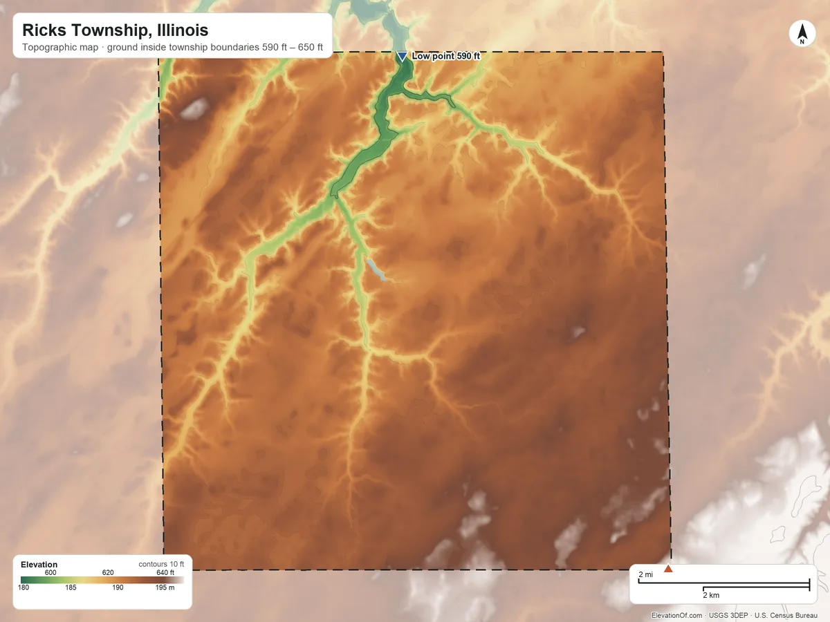 Topographic elevation map of Ricks Township, Illinois, shaded from 590 ft on the northeast side to 650 ft on the southeast side
