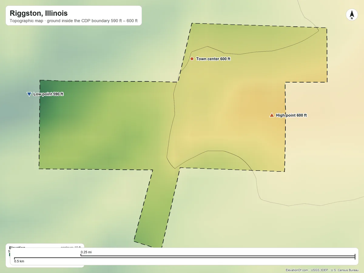 Topographic elevation map of Riggston, Illinois, shaded from 590 ft on the west side to 600 ft on the southeast side