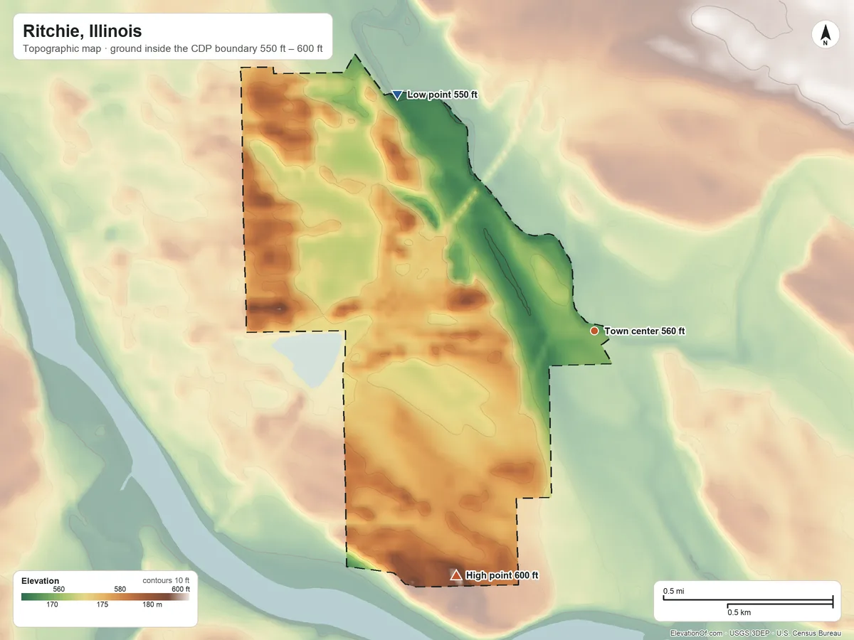 Topographic elevation map of Ritchie, Illinois, shaded from 550 ft on the northwest side to 600 ft on the southwest side