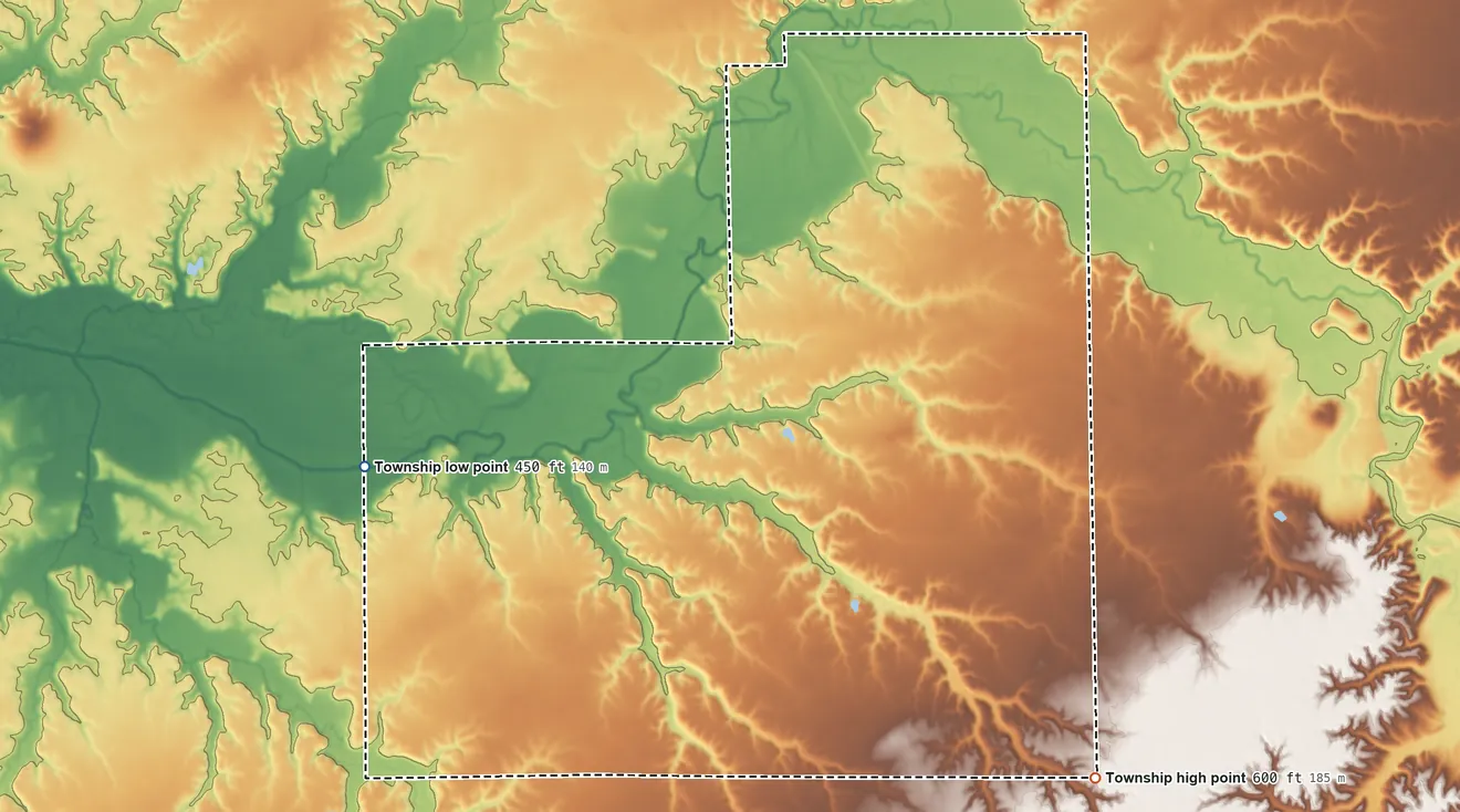 Topographic elevation map of Ruyle Township, Illinois, shaded from 450 ft on the west side to 600 ft on the southeast side
