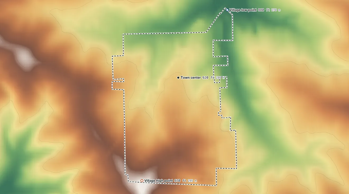 Topographic elevation map of Shannon, Illinois, shaded from 880 ft on the northeast side to 970 ft on the south side
