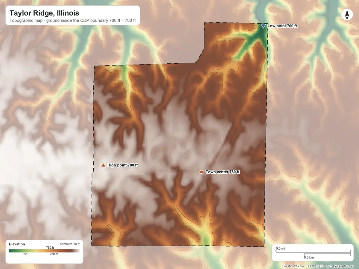 Topographic elevation map of Taylor Ridge, Illinois, shaded from 700 ft on the northeast side to 780 ft on the west side