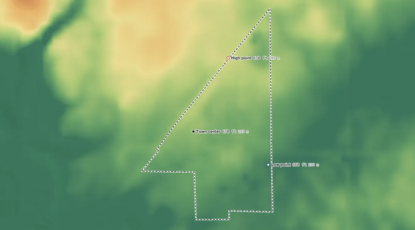Topographic elevation map of Triumph, Illinois, shaded from 660 ft on the southeast side to 670 ft on the northeast side