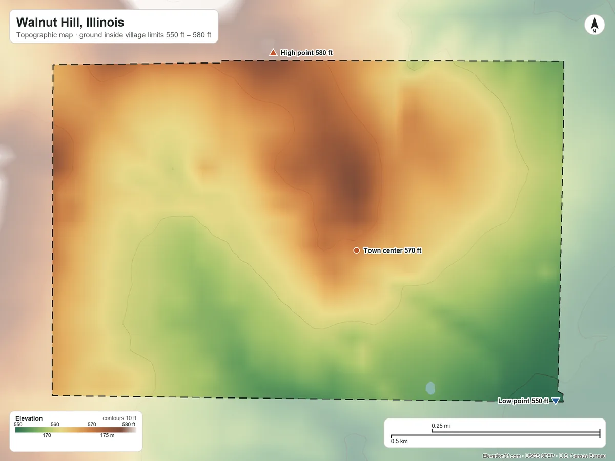 Topographic elevation map of Walnut Hill, Illinois, shaded from 550 ft on the southeast side to 580 ft on the northwest side