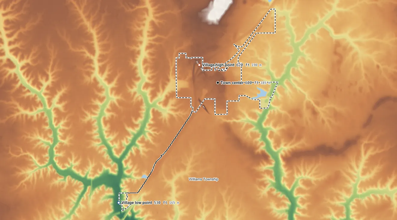 Topographic elevation map of Williamsville, Illinois, shaded from 530 ft on the southwest side to 620 ft near the middle