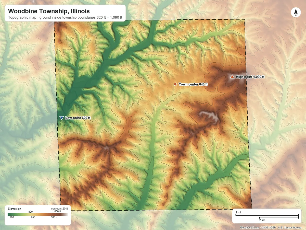 Topographic elevation map of Woodbine Township, Illinois, shaded from 620 ft on the west side to 1,090 ft on the east side