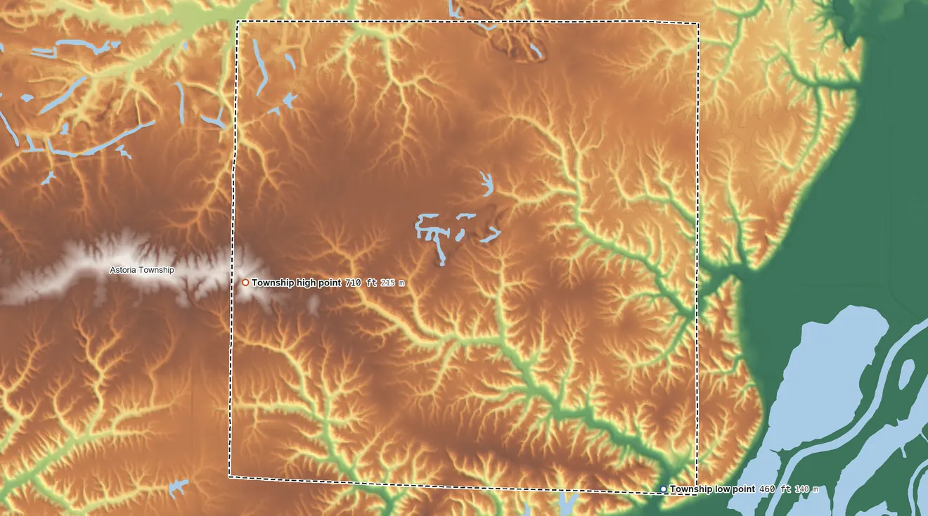 Topographic elevation map of Woodland Township, Illinois, shaded from 460 ft on the southeast side to 710 ft on the west side