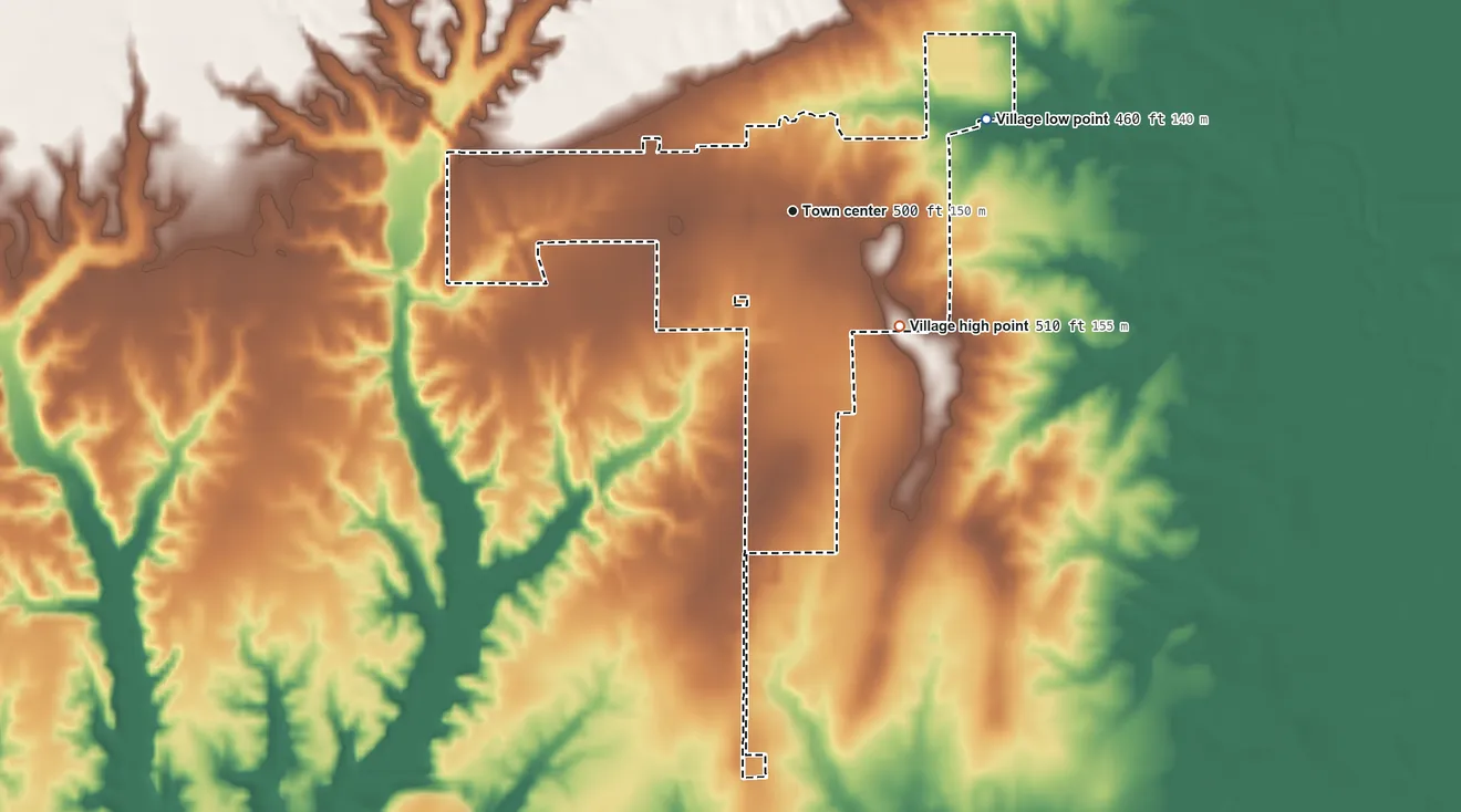 Topographic elevation map of Woodlawn, Illinois, shaded from 460 ft on the northeast side to 510 ft on the southeast side
