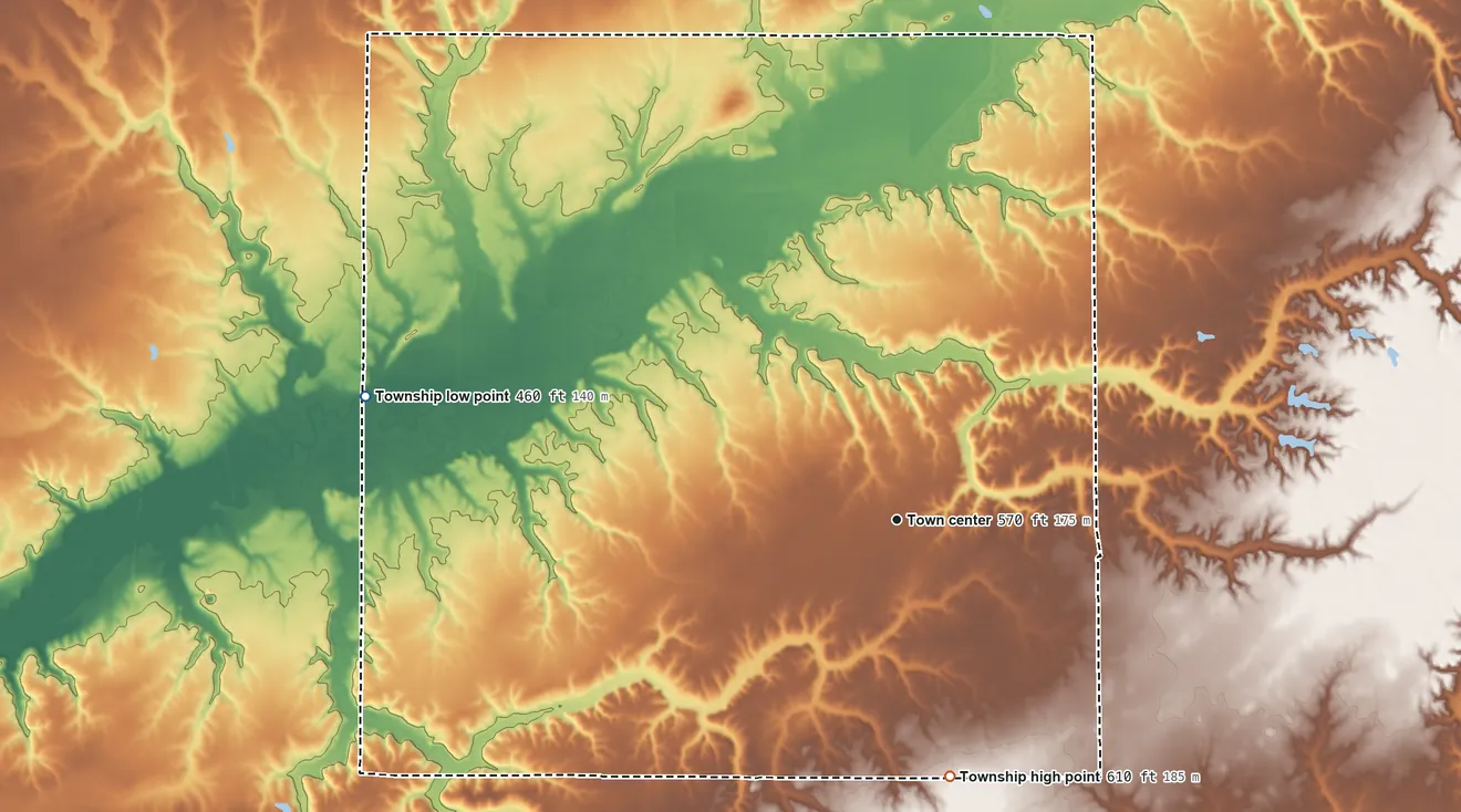 Topographic elevation map of Wrights Township, Illinois, shaded from 460 ft on the west side to 610 ft on the south side