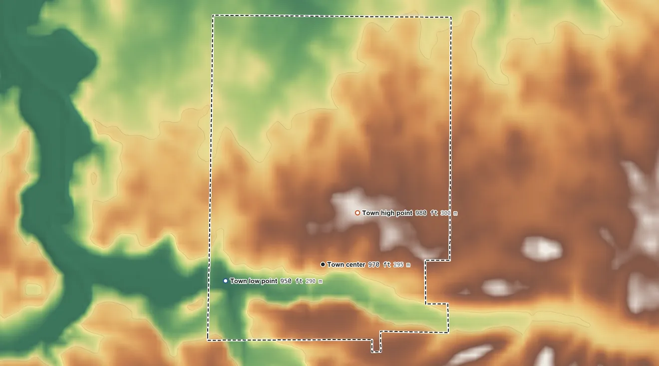 Topographic elevation map of Salamonia, Indiana, shaded from 950 ft on the west side to 980 ft on the northeast side