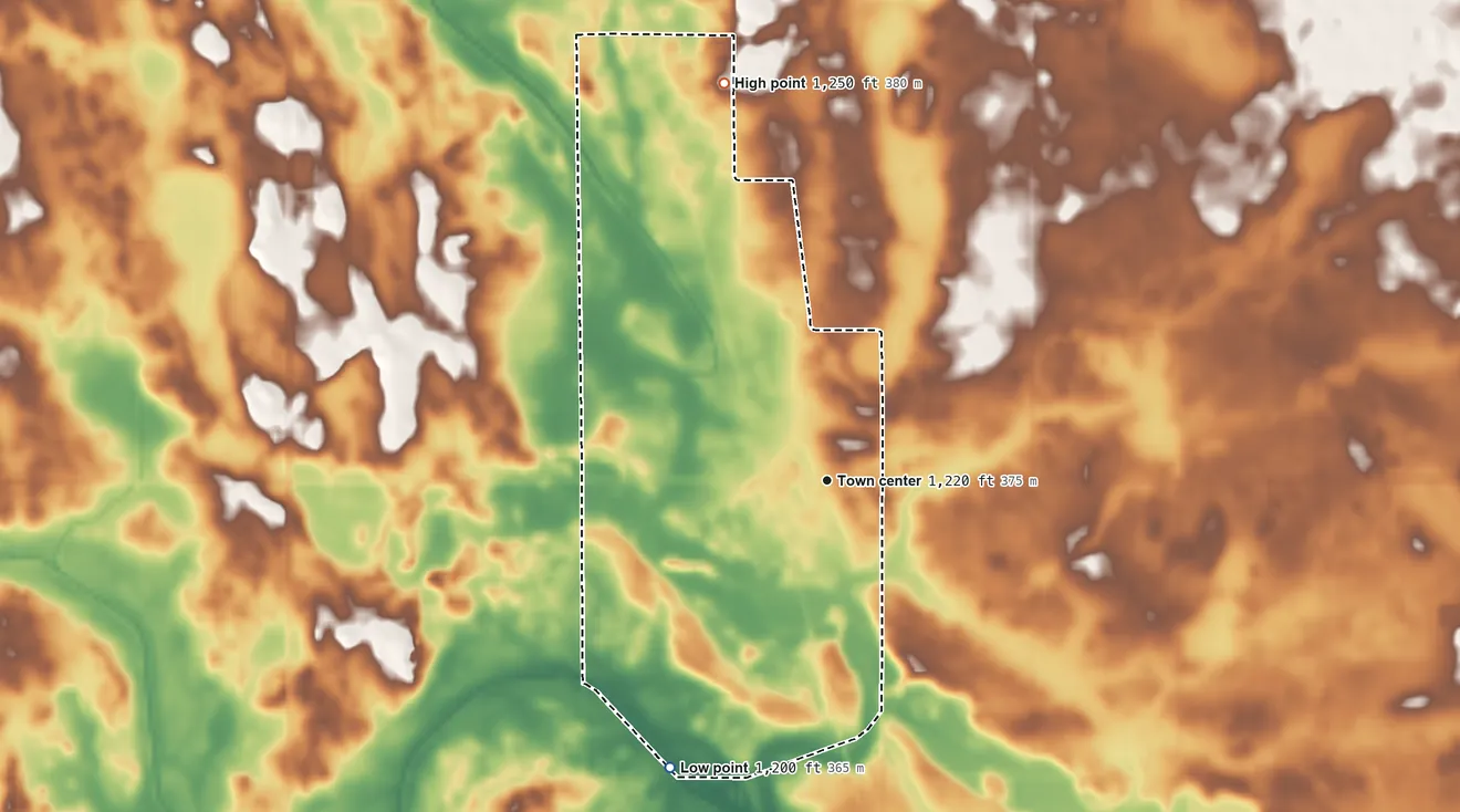 Topographic elevation map of Miller, Iowa, shaded from 1,200 ft on the southwest side to 1,250 ft on the north side