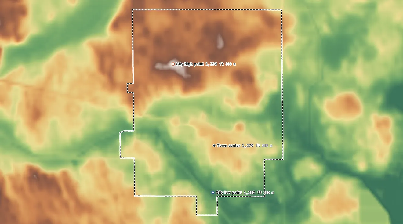 Topographic elevation map of Newell, Iowa, shaded from 1,250 ft on the south side to 1,290 ft on the northwest side