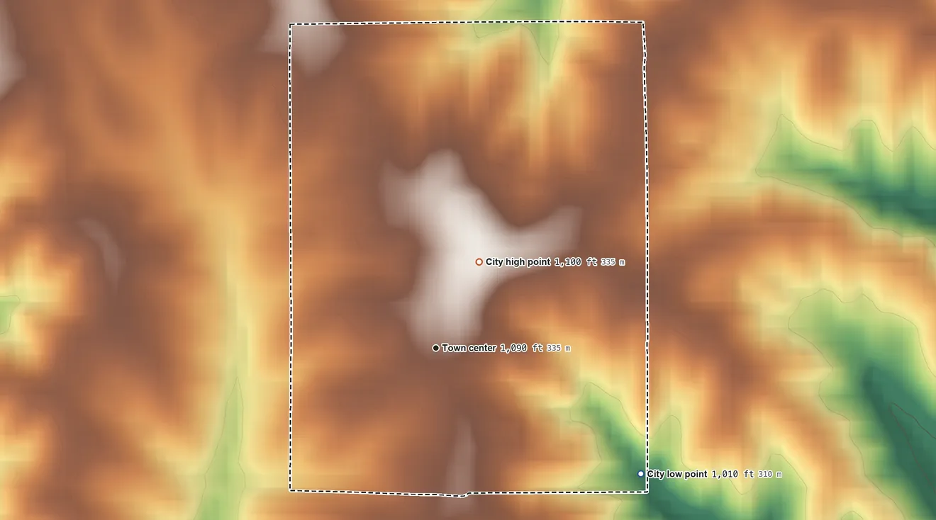 Topographic elevation map of Pleasanton, Iowa, shaded from 1,010 ft on the southeast side to 1,100 ft on the northeast side