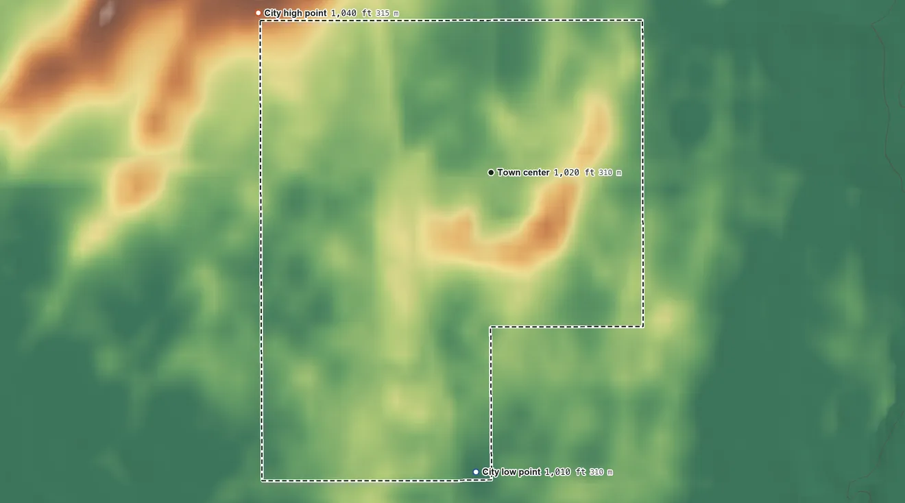 Topographic elevation map of Randall, Iowa, shaded from 1,010 ft on the south side to 1,040 ft on the northwest side