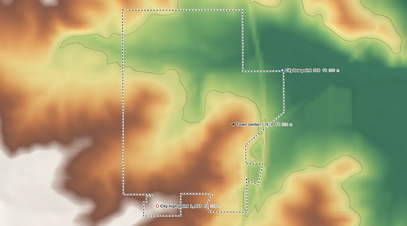 Topographic elevation map of Ryan, Iowa, shaded from 980 ft on the northeast side to 1,040 ft on the southwest side