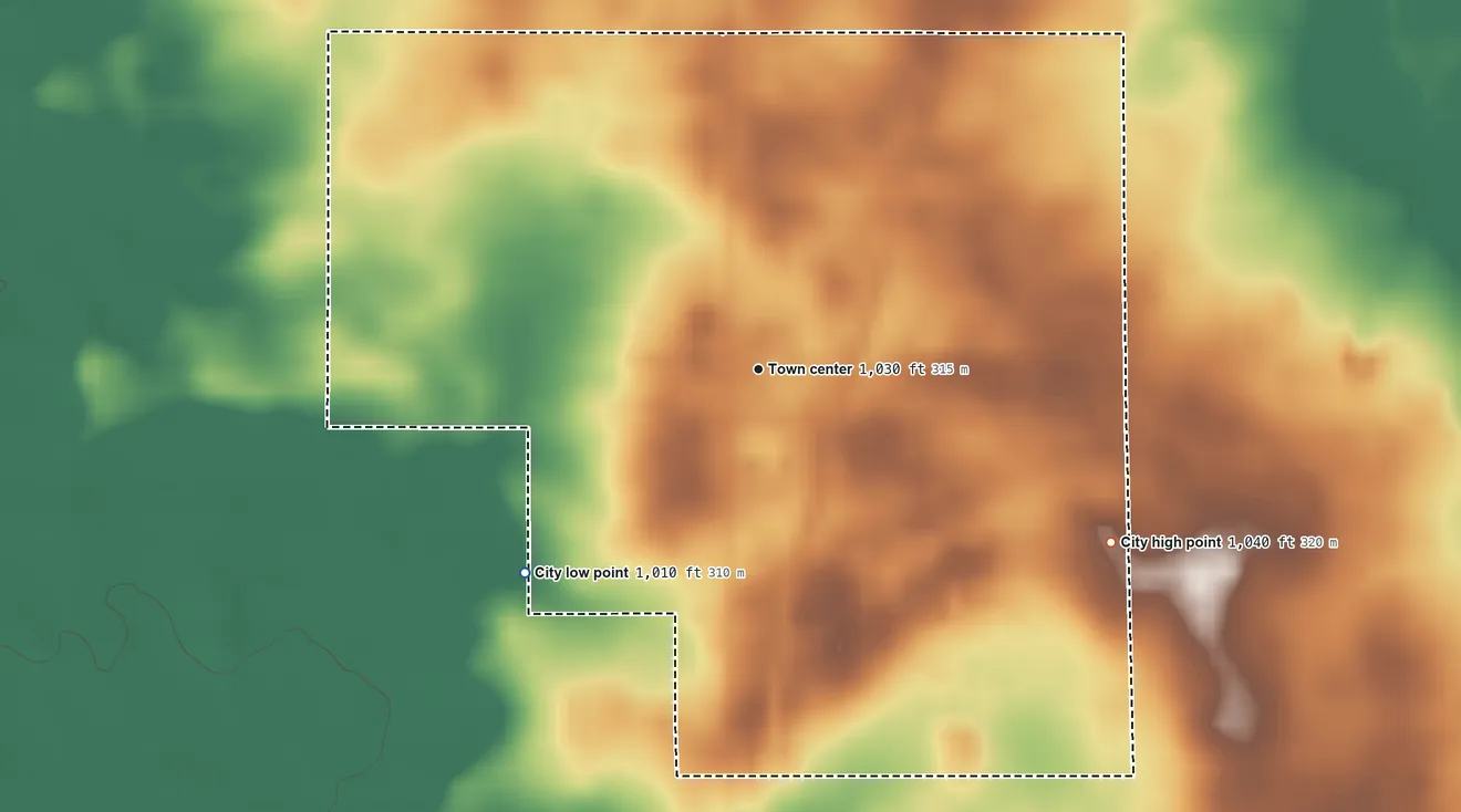 Topographic elevation map of Sheldahl, Iowa, shaded from 1,010 ft on the southwest side to 1,040 ft on the southeast side