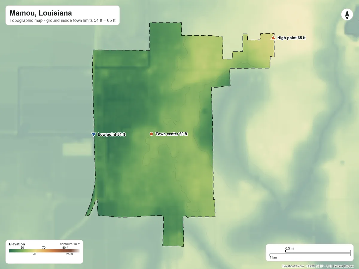 Topographic elevation map of Mamou, Louisiana, shaded from 54 ft on the west side to 65 ft on the northeast side
