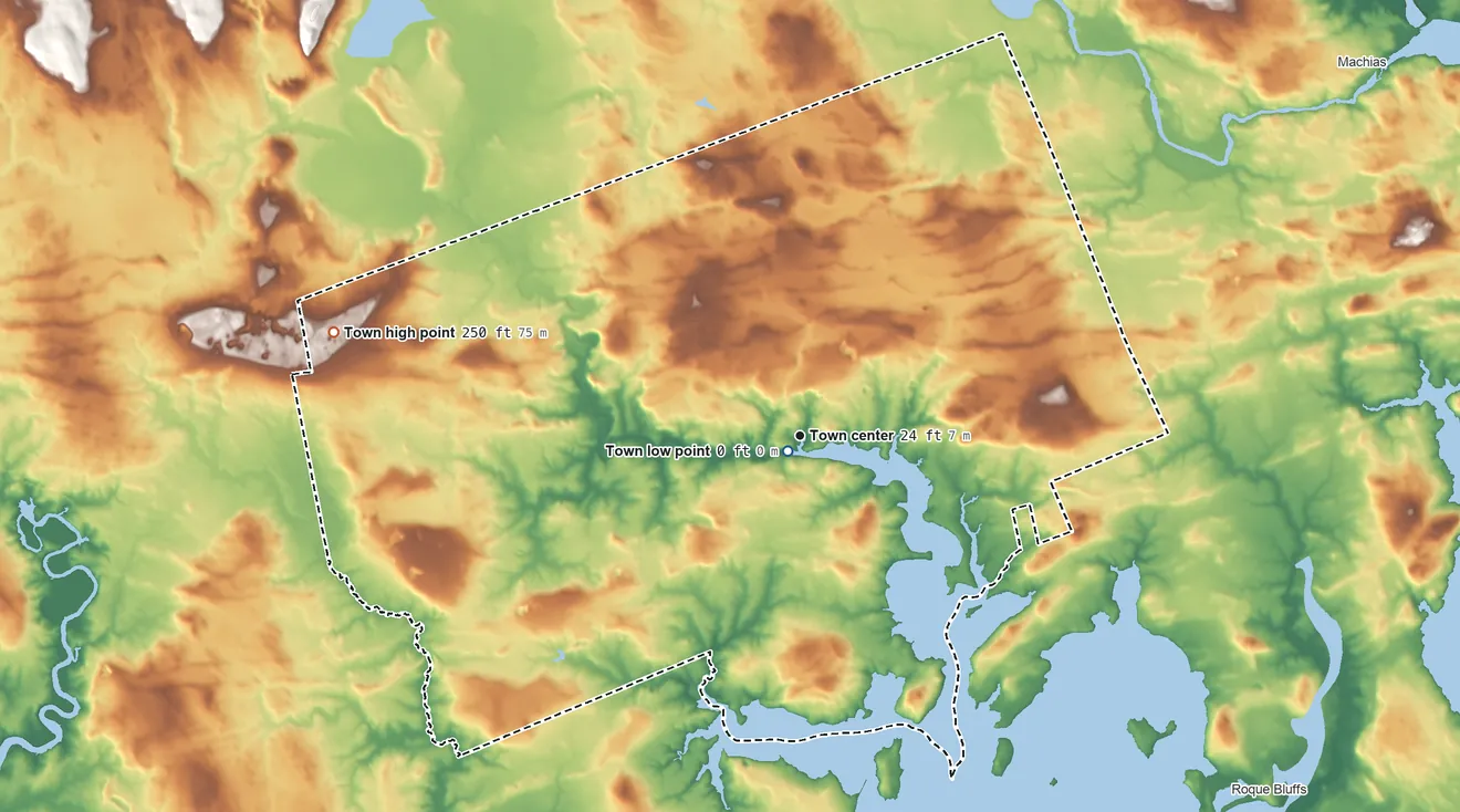 Topographic elevation map of Jonesboro, Maine, shaded from sea level level on the Chandler River to 250 ft on the west side