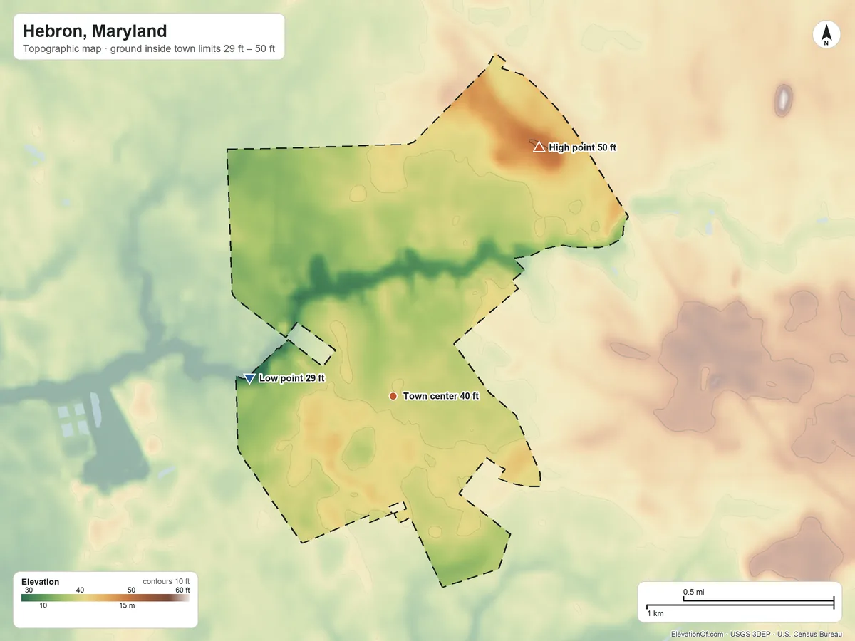 Topographic elevation map of Hebron, Maryland, shaded from 29 ft on the west side to 50 ft on the northeast side