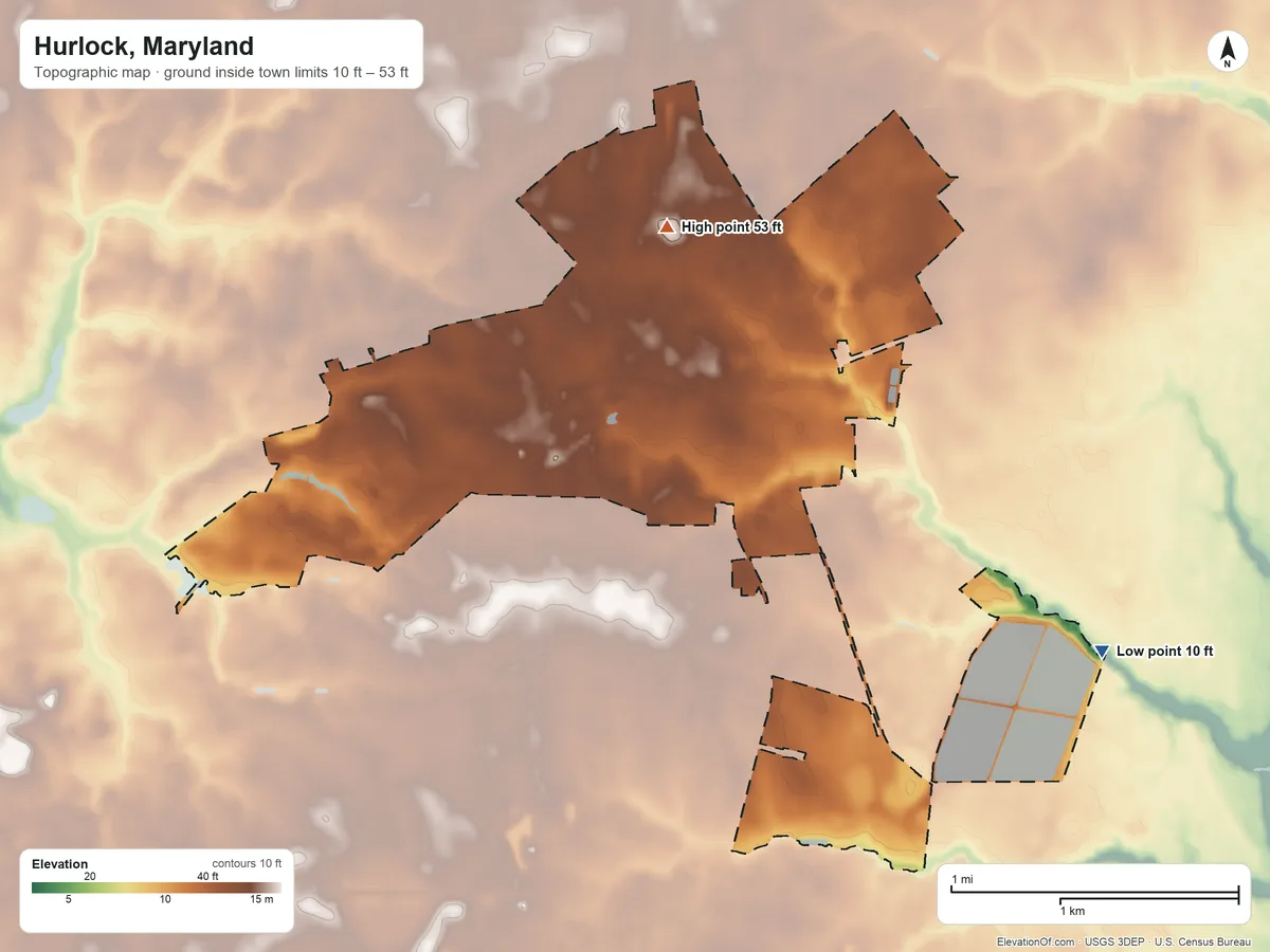 Topographic elevation map of Hurlock, Maryland, shaded from 10 ft on the southeast side to 53 ft on the northwest side