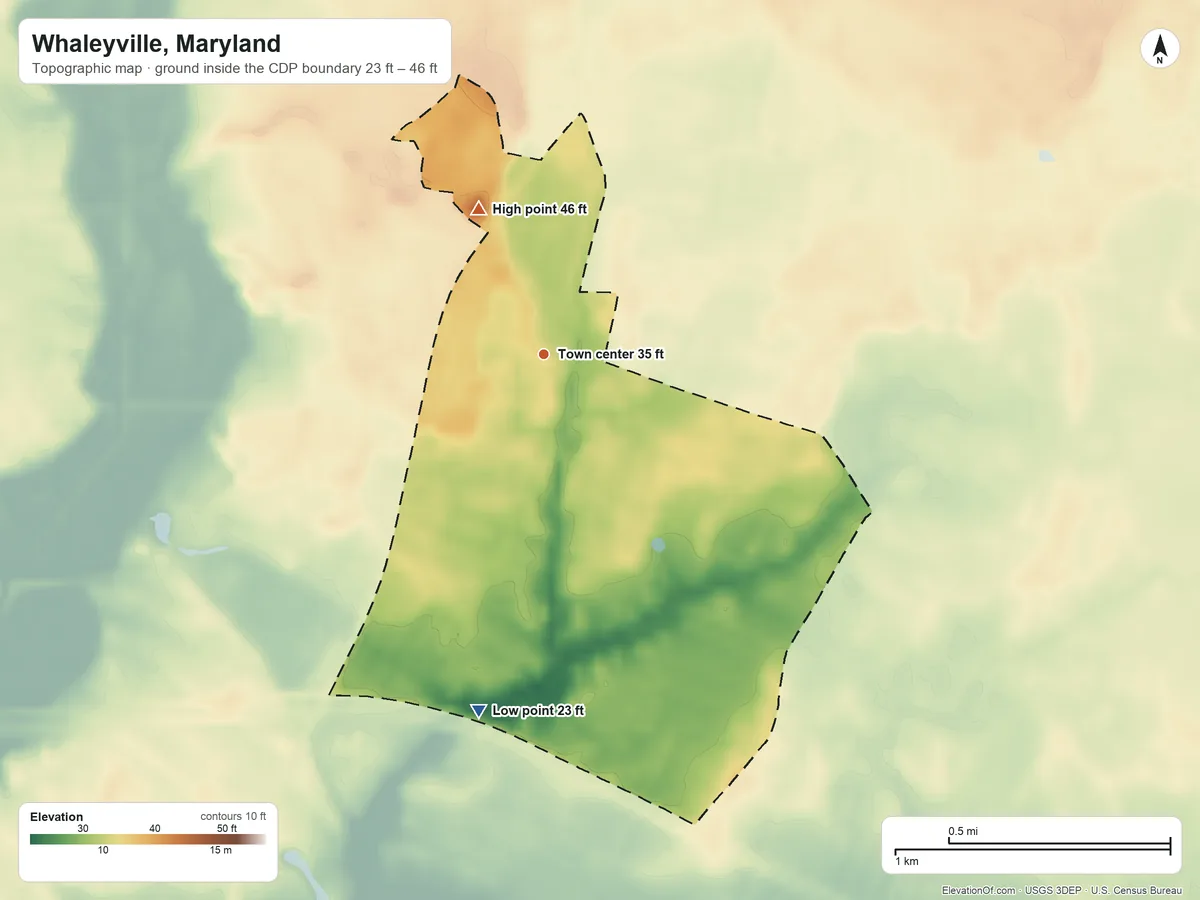 Topographic elevation map of Whaleyville, Maryland, shaded from 23 ft on the south side to 46 ft on the northwest side