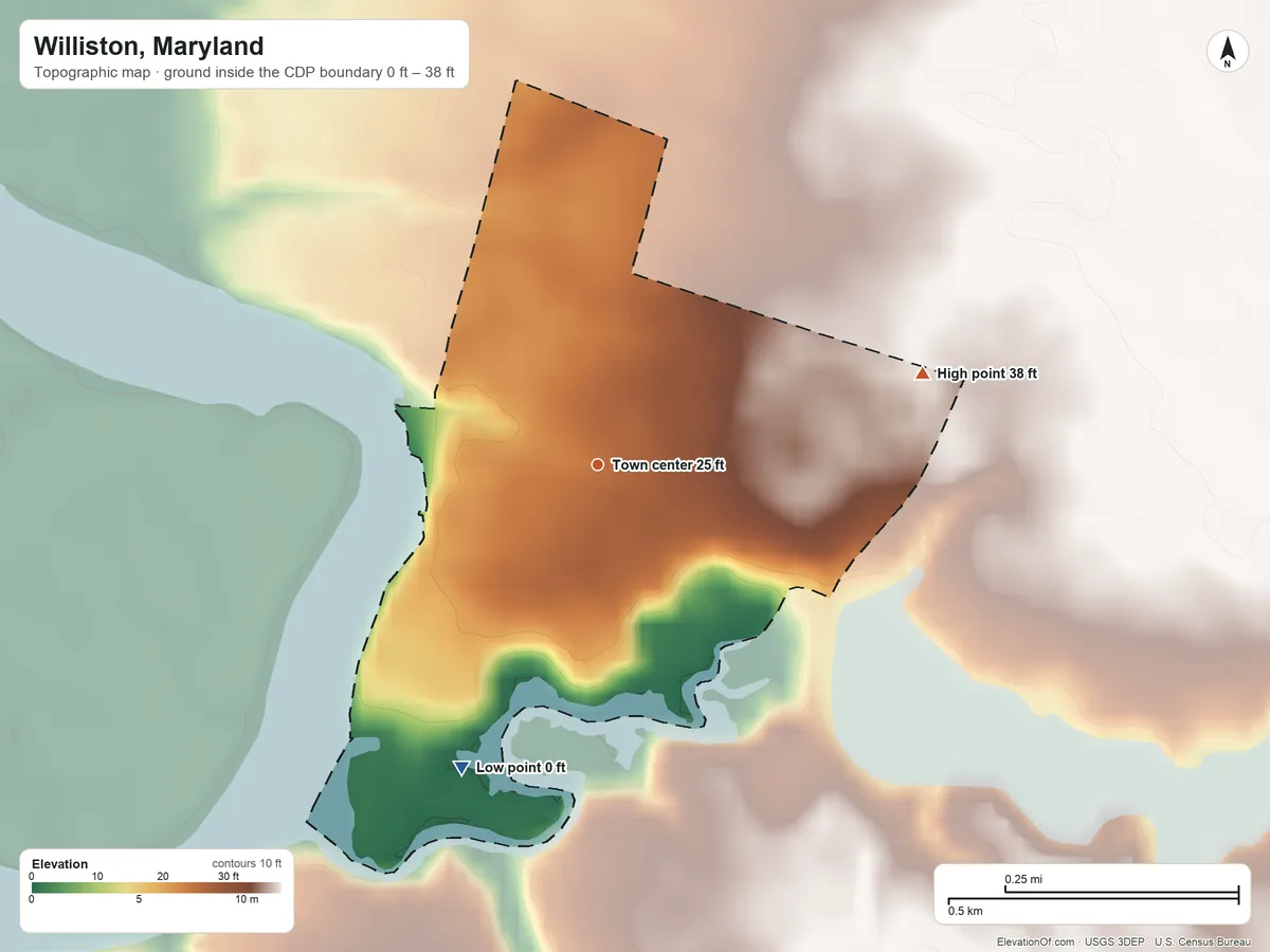 Topographic elevation map of Williston, Maryland, shaded from 0 ft on the southwest side to 38 ft on the east side