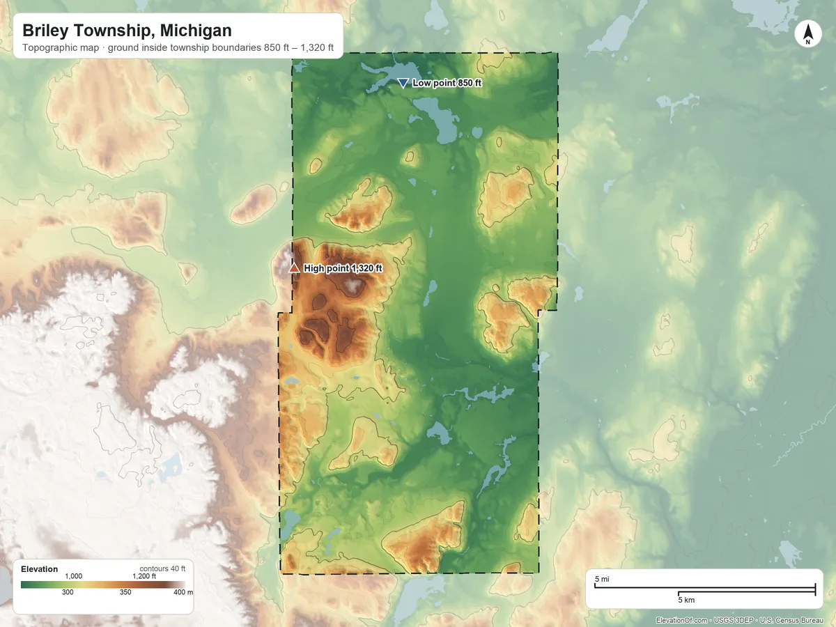 Topographic elevation map of Briley Township, Michigan, shaded from 850 ft on the north side to 1,320 ft on the northwest side