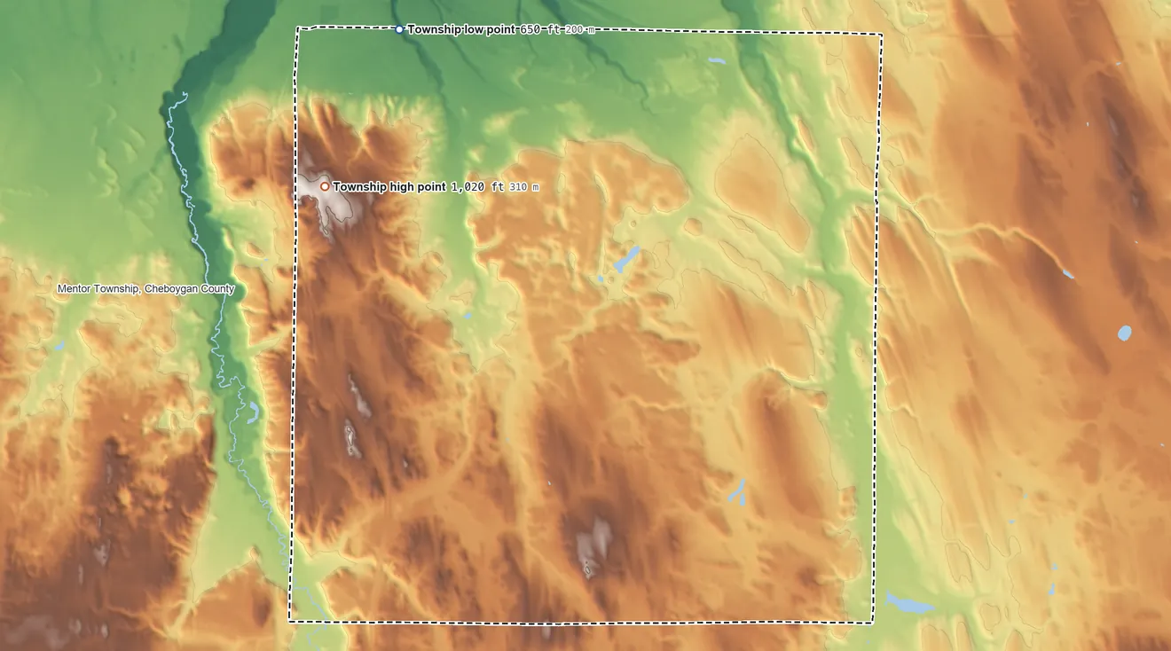 Topographic elevation map of Ellis Township, Michigan, shaded from 650 ft on the northwest side to 1,020 ft on the northwest side