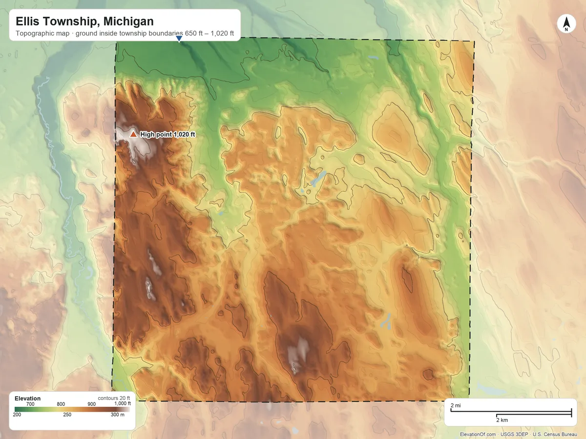 Topographic elevation map of Ellis Township, Michigan, shaded from 650 ft on the northwest side to 1,020 ft on the northwest side