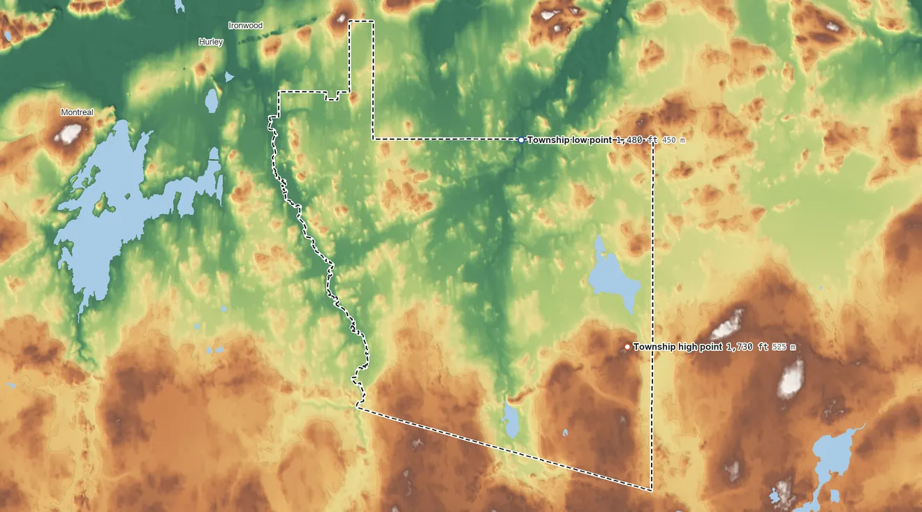 Topographic elevation map of Erwin Township, Michigan, shaded from 1,480 ft on the east side to 1,730 ft on the southeast side